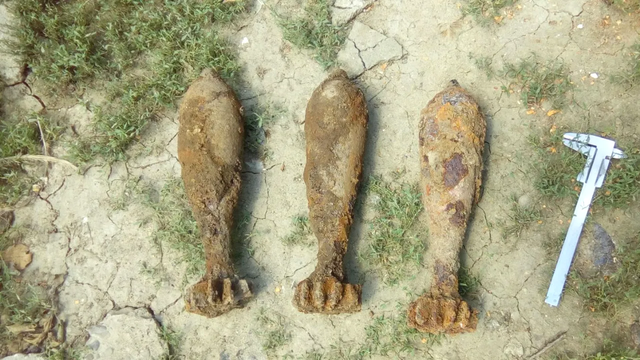 BOMBE și PROIECTILE din al Doilea Război Mondial, descoperite la Vaslui de un localnic