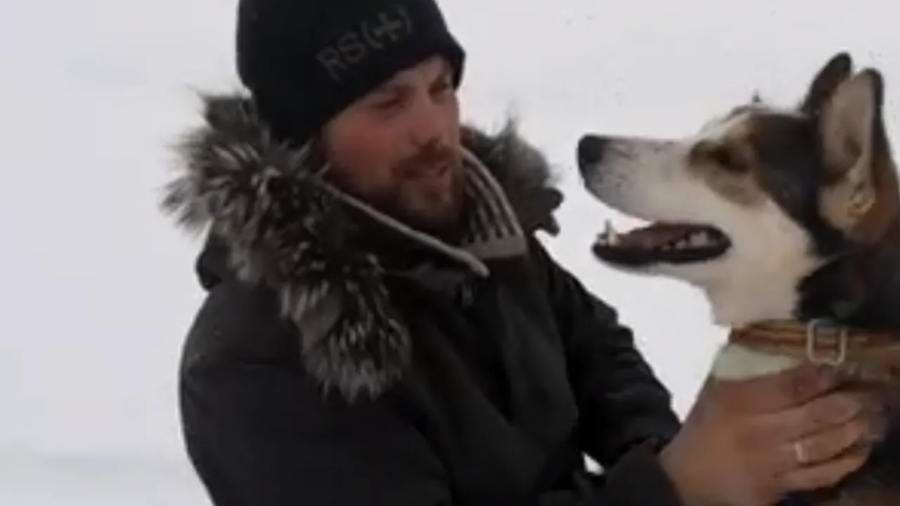 Povestea celor 101 dalmațieni transformată în cea a 110 husky. Bărbatul se consideră tatăl lor