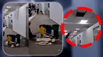 Plouă cu găleata în Primăria Sectorului 1. Imagini cu angajații care nu fac față șuvoiului de apă. Cad bucăți din tavan