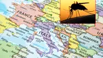 Statul european popular în rândul turiștilor în care s-a detectat un virus tropical. Un bărbat a fost infectat după o înțepătură de țânțar