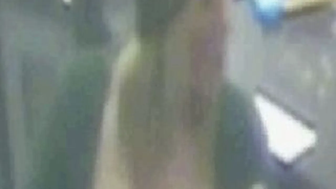 VIDEO: Este aceasta cea mai proastă hoață din lume? Imagini surprinse de camerele de supraveghere