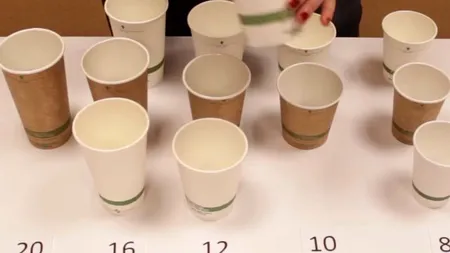 De ce ar trebui să ne gândim de DOUĂ ORI înainte să aruncăm GUNOIUL la întâmplare. Mitul reciclării, DESFIINȚAT de oamenii de știință