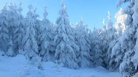 Se întoarce iarna! Cod galben de ninsori și viscol în 23 de județe din România