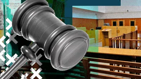 EXCLUSIV. Avocații lui Robert Roșu cer Inspecției Judiciare verificarea la sânge a ”repartizării aleatorii” a dosarului ”Ferma Băneasa” la ÎCCJ (DOCUMENT)