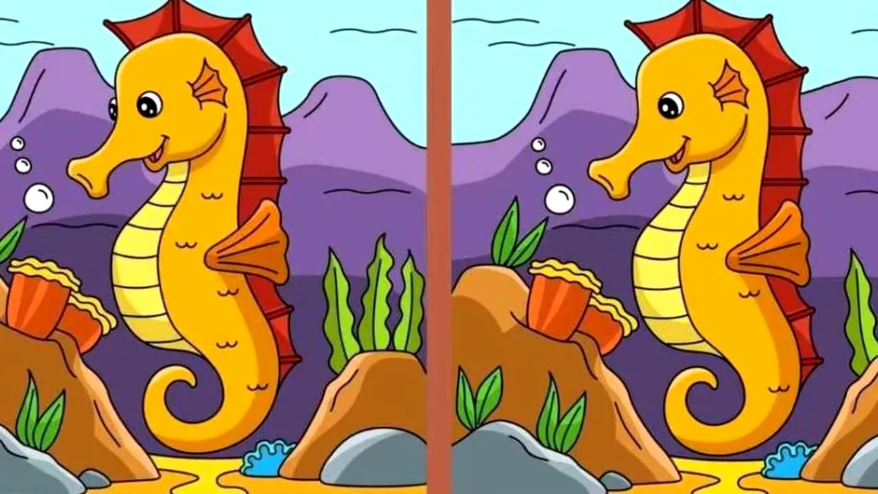 Iluzie optică pentru genii | Găsiți cele 3 diferențe între cele 2 imagini, în maximum 10 secunde