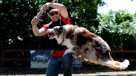 Bruno Icobeț si cățeii campioni de la Românii au Talent au făcut show în București de ziua copilului
