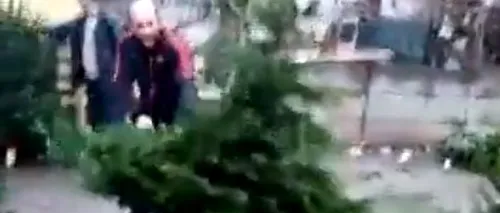 Imagini șocante | Distrugătorul de brazi face ravagii: Un român care pare nervos distruge mai mulți brazi cu o drujbă - VIDEO 