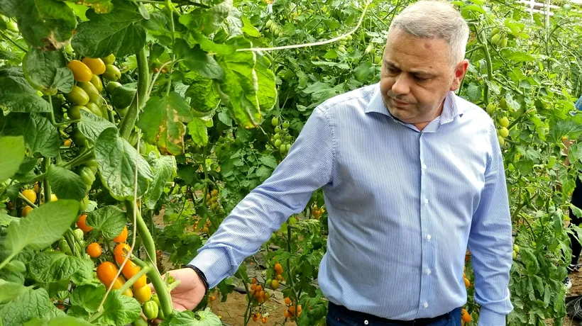 Ministrul Agriculturii, Florin Barbu: „Protejăm în continuare fermierii și procesatorii români”
