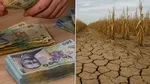 Guvernul a stabilit despăgubirile pentru seceta din 2025: până la 333 de lei/hectar pentru porumb și floarea-soarelui