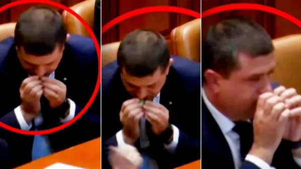 Al doilea om în stat – Mircea Abrudean – și Dinel Miruță, prinși în Parlament cum freacă menta la propriu. Cum a ajuns planta în mâinile celor doi