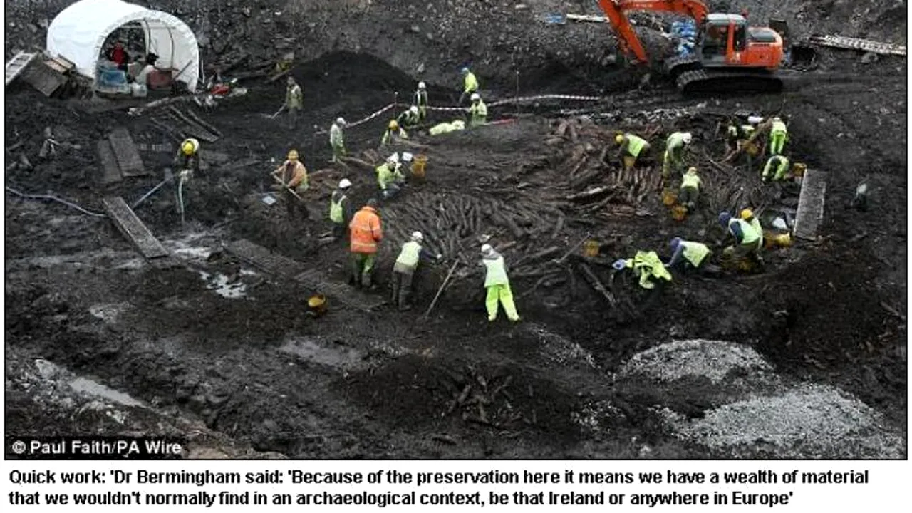 Ce au găsit arheologii într-un sit din Irlanda. 