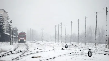 Se afla într-un tren care trecea prin Teleorman când a văzut asta. Intervenția lui a făcut diferența dintre viață și moarte