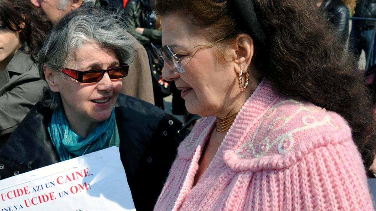 IRINA LOGHIN a suferit un atac cerebral și este internată la Spitalul Militar