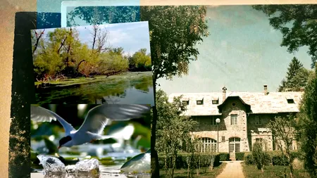 EXCLUSIV VIDEO | Muzeul Cinegetic Posada și poveștile lui fascinante. Pasărea inteligentă care poate vorbi și număra până la 30 (III)