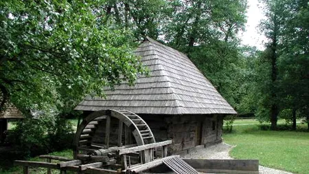 Mori vechi de 300 de ani, oprite din cauza secetei