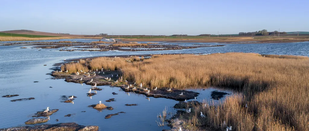 Locuri ascunse în România. Drumul secret de la Marea Neagră la Delta Dunării, știut doar de bătrânii localnici