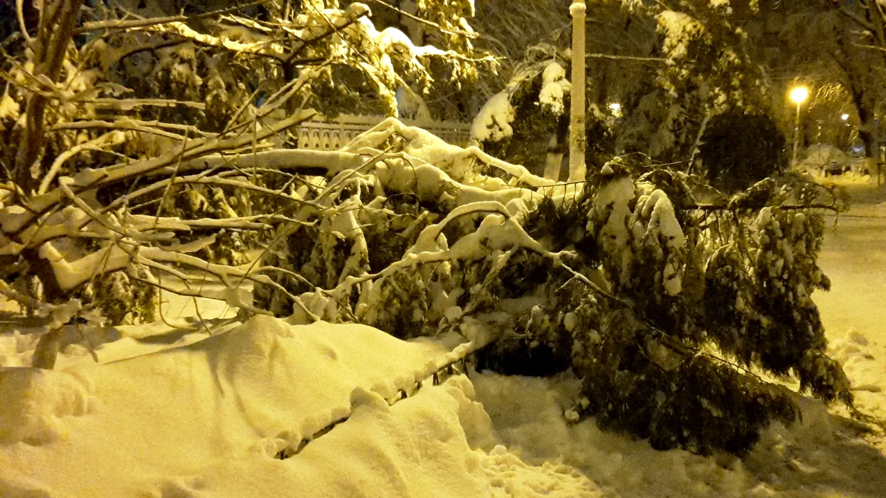 VREMEA ANM. Ger năprasnic, urmat de ninsori în următoarele două săptămâni