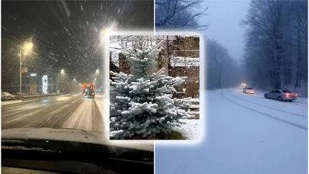A nins ca-n povești la munte. Strat de zăpadă de 25 de centimetri, în Ajunul Crăciunului