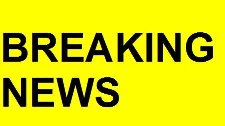 Lovitură de teatru: etichete falsificate în România - carne de cal etichetată drept carne de vită într-un depozit lângă București