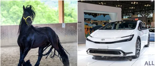 Prețul pe care îl are un cal de rasă pe OLX. Cu banii pentru o pereche îți poți lua Toyota Prius 2023