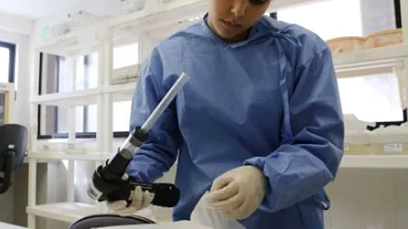 Primul caz de febră Zika în Danemarca