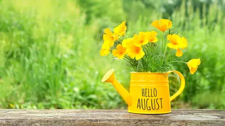 Prognoza meteo pentru următoarele două săptămâni. Vreme neobișnuită în ultima lună a verii