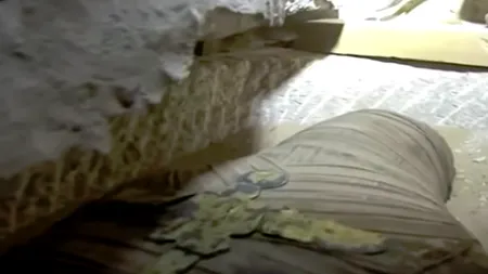 O mumie egipteană de acum 2.500 de ani, prezentată ÎN PREMIERĂ în direct la televiziune - VIDEO