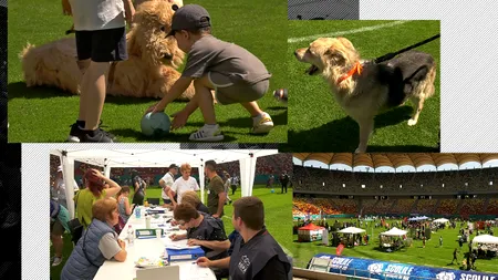 Zeci de câini și pisici așteaptă să fie luați acasă de stăpâni iubitori de animale. 