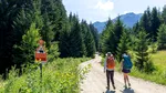 De la burnout la „vreau să demonstrez că pot”: oamenii care au ales 10 zile pe Via Transilvanica. Primele tipologii identificate în studiul MedLife