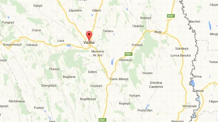 Avion prăbușit într-o pădure din Vaslui