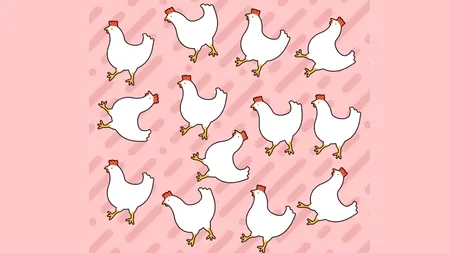 Test de perspicacitate | Găsiți găina diferită de toate celelalte, în cel mult 7 secunde!