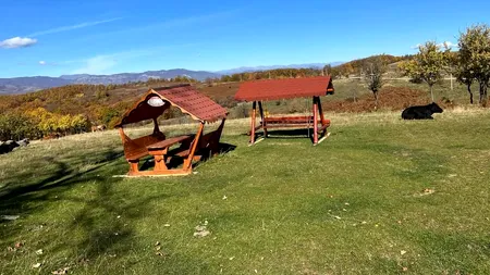 Ce se mai FURĂ în România. Mai multe persoane au furat foișorul unei primării din Mehedinți