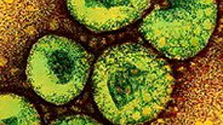 Avertizarea OMS cu privire la modul de transmitere a 