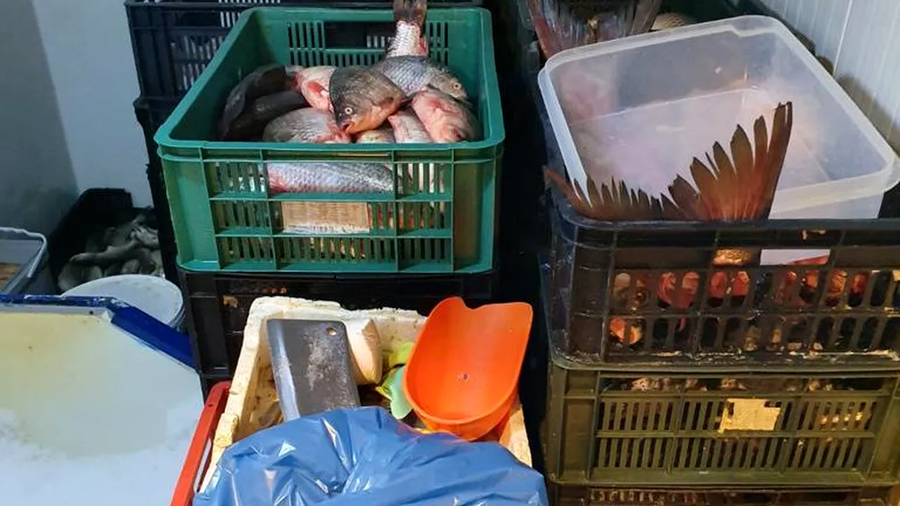 Cu sacul la peștele altuia. Percheziții în lanț la braconieri