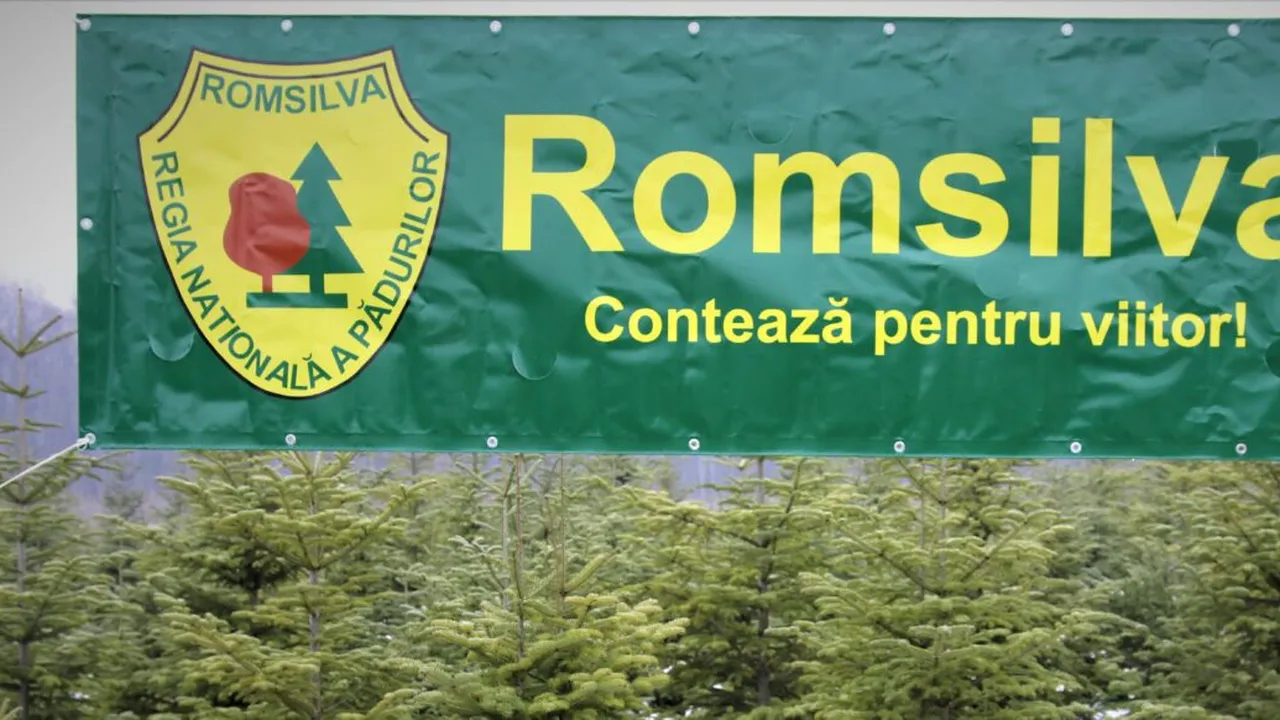 Romsilva va planta în acest an 26 de milioane de puieţi forestieri şi va regenera peste 12.000 de hectare