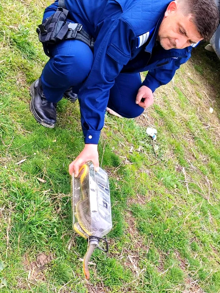 FOTO - Inspectoratul de Jandarmi Județean (IJJ) Vâlcea