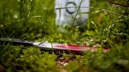 Un minor de 15 ani a fost ÎNJUNGHIAT mortal de fostul iubit al mamei sale. A apărat-o până în ultima clipă chiar cu prețul vieții