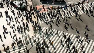 Țara în care mii de oameni dispar fără urmă, voluntar, în fiecare an. De ce recurg la un asemenea gest