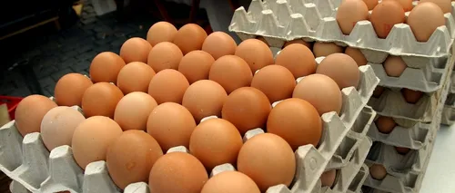 Încă 300.000 de ouă CONTAMINATE cu Fipronil au ajuns ÎN CONSUM