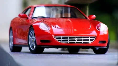 Fiica lui Ioan Niculae este, la 24 de ani, vicepreședinte InterAgro și conduce această ''bijuterie'' pe roți