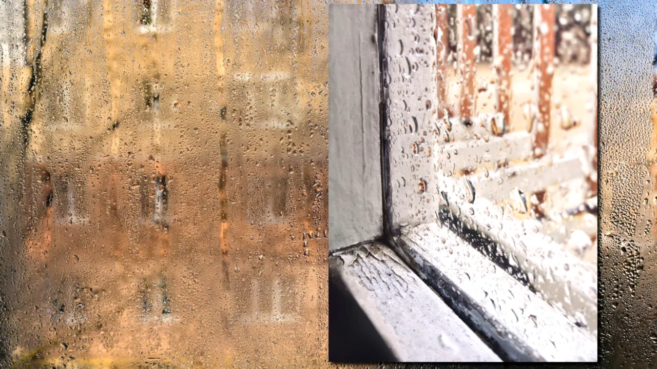 Cum scapi de condensul format pe ferestrele din casă. Trucul simplu la care puțini s-ar fi gândit