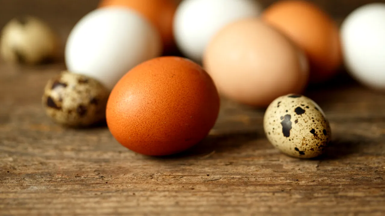 România ar putea exporta ouă în Israel. O delegație sanitară israeliană a vizitat țara noastră