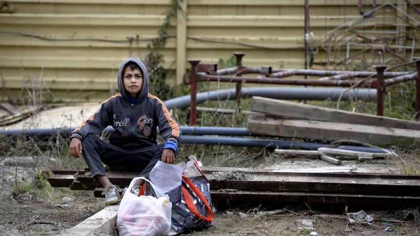 TOPUL risipei alimentare. Câtă mâncare ajunge la gunoi în fiecare zi în România, țara în care copiii se culcă cu burta goală