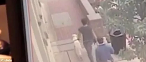 Un câine le-a salvat viața celor doi dresori cu care mergea pe trotuar. VIDEO