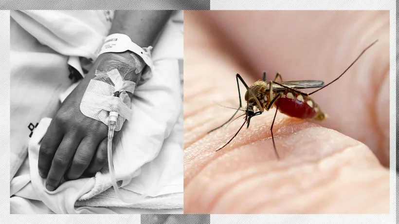 Un pacient cu malarie a murit la “Victor Babeş”. Ministerul recomandă turiștilor vaccinarea