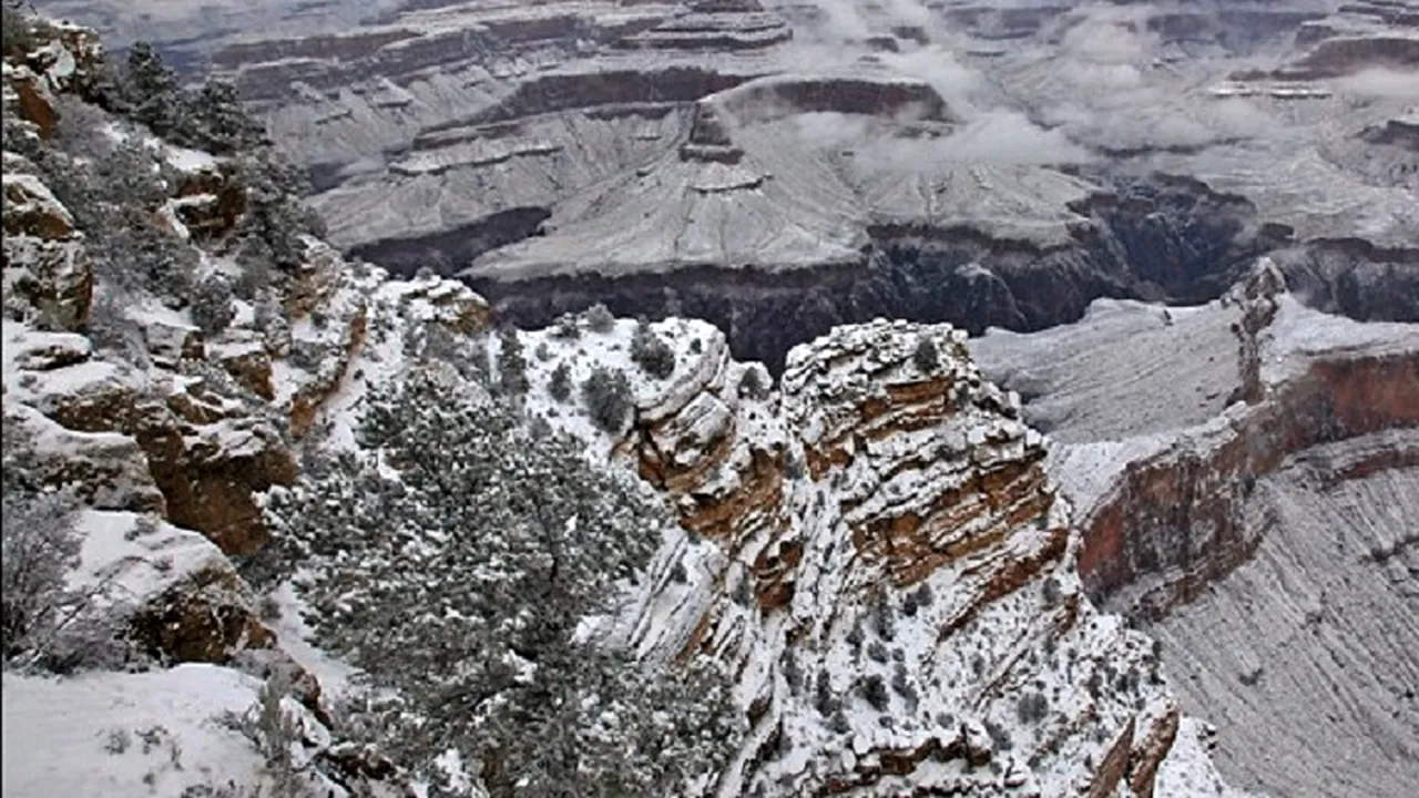 Fenomen EXTREM DE RAR de Anul Nou: unde credeți că se află aceste creste înzăpezite? În articol: o imagine cu vegetația luxuriantă acoperită de zăpadă