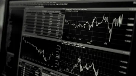 Analiză. Din cauza pandemiei, investițiile străine au scăzut cu 42% la nivel mondial. Există și țări care au înregistrat creșteri