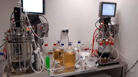 Celebrul Polidin va reapărea pe piață, dar sub formă de supliment alimentar. În ce fază se află proiectul