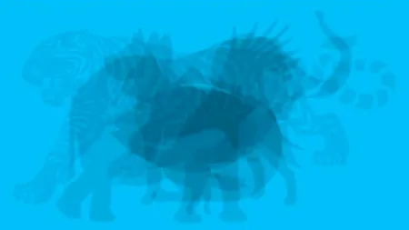 TEST de personalitate. Animalul pe care îl vezi prima dată îți arată ce trăsături unice ai