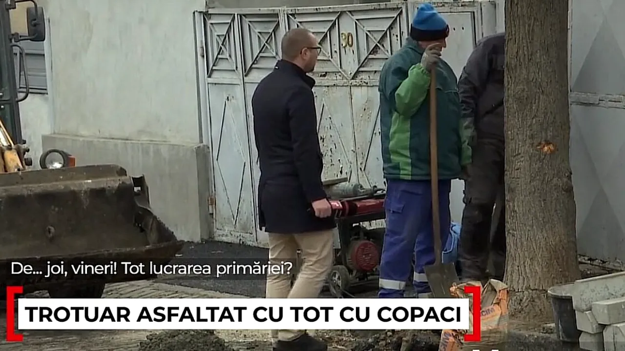 Stradă din Galaţi, asfaltată de „Dorel” cu tot cu copaci. Ulterior a reparat GAFA cu târnăcopul. Reacția autorităților